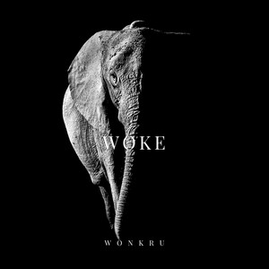 Woke - Wonkru | Song Album Cover Artwork