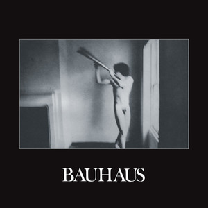 Dark Entries Bauhaus | Album Cover