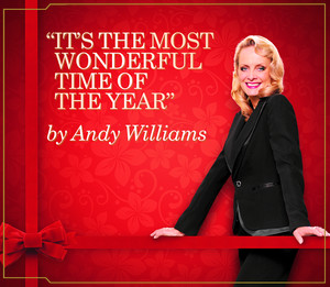 It's the Most Wonderful Time of the Year Andy Williams | Album Cover