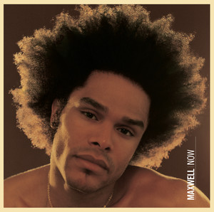 This Woman's Work Maxwell | Album Cover