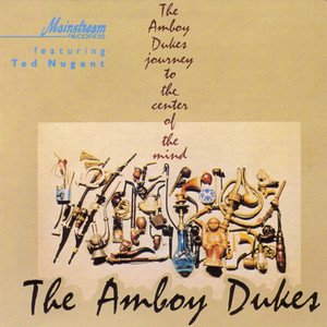 Journey To The Center of the Mind Amboy Dukes | Album Cover
