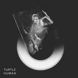 Elephant - Turtle | Song Album Cover Artwork