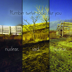 Like a Cat - The Number Twelve Looks Like You | Song Album Cover Artwork