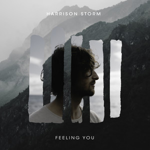 Feeling You Harrison Storm | Album Cover