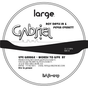 Gabriel - Live Garage Mix - Roy Davis Jr. | Song Album Cover Artwork