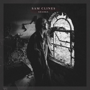 Sharks - Sam Clines | Song Album Cover Artwork
