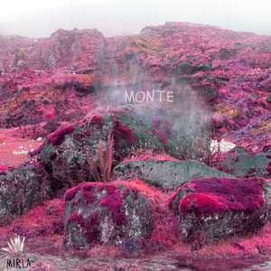 Jungla Monte | Album Cover