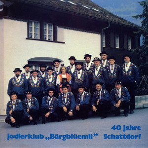 Jänzigrat-Jüz - Jodlerklub Bärgblüemli Schattdorf | Song Album Cover Artwork