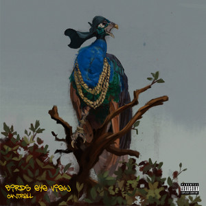 Birds Eye View - Cantrell | Song Album Cover Artwork
