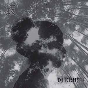 Song 2 DJ Krush | Album Cover