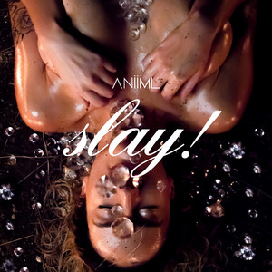 Slay! - ANIIML | Song Album Cover Artwork