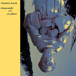 Chamomile - Winslow Leach | Song Album Cover Artwork