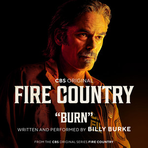 Burn (Music from the CBS Original Series) - Billy Burke | Song Album Cover Artwork