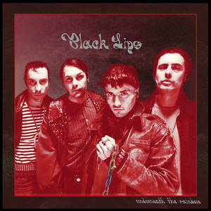 Boys in the Wood - Black Lips | Song Album Cover Artwork