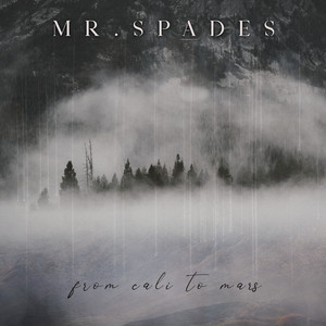 While I've Still Got Hope - Mr. Spades | Song Album Cover Artwork