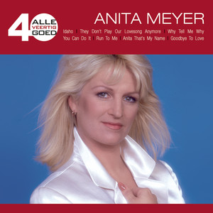 Why Tell Me Why - Anita Meyer | Song Album Cover Artwork