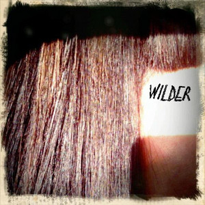 Wilder - Slang | Song Album Cover Artwork
