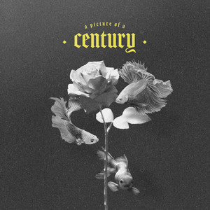 Queen - Johnny Lloyd | Song Album Cover Artwork