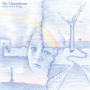 Up the Down Escalator - The Chameleons | Song Album Cover Artwork