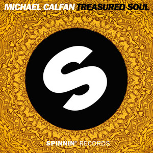 Treasured Soul - Radio Edit - Michael Calfan | Song Album Cover Artwork