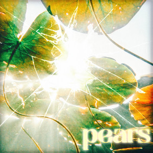 Pears - Weston Estate | Song Album Cover Artwork