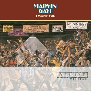 I Want You Marvin Gaye | Album Cover