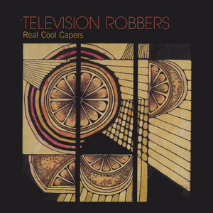 Puddleflower - Television Robbers