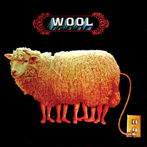 I Don't Like You Anymore - Wool | Song Album Cover Artwork