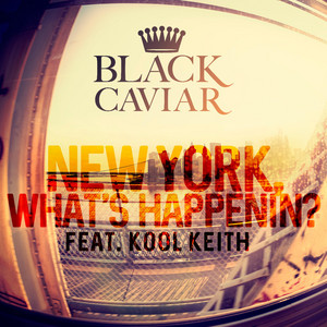 New York, What's Happenin'? - Black Caviar | Song Album Cover Artwork