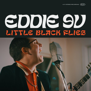 Little Black Flies - Eddie 9V | Song Album Cover Artwork
