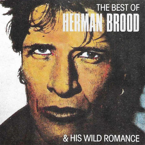 Never Be Clever - Herman Brood & His Wild Romance | Song Album Cover Artwork
