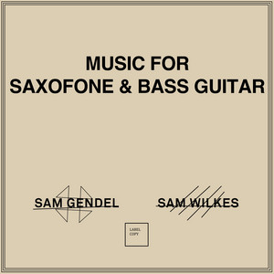BOA - Sam Gendel | Song Album Cover Artwork