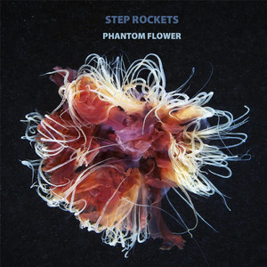 Phantom Flower (Sunglasses Kid Remix) - Step Rockets | Song Album Cover Artwork