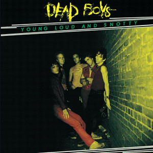 Sonic Reducer Dead Boys | Album Cover