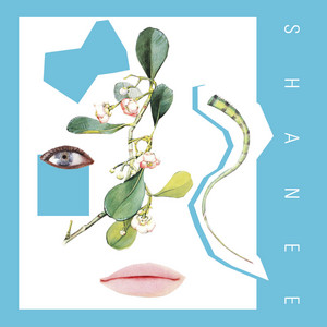 Irresistible - Shanee Pink | Song Album Cover Artwork