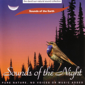 Night Song - Sounds Of The Earth | Song Album Cover Artwork