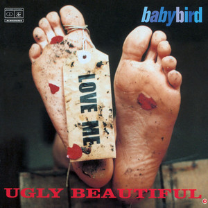 You're Gorgeous - Babybird | Song Album Cover Artwork