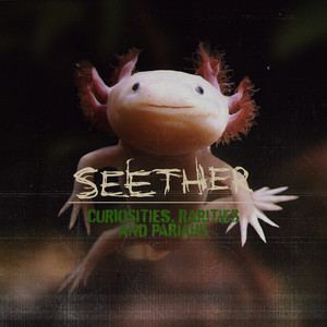 No Shelter Seether | Album Cover
