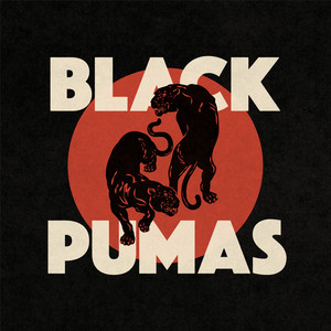 Fire Black Pumas | Album Cover