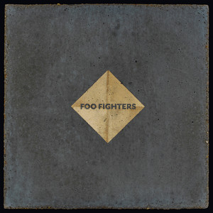 The Sky Is A Neighborhood Foo Fighters | Album Cover
