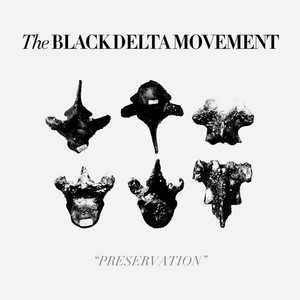 Ivory Shakes - The Black Delta Movement | Song Album Cover Artwork
