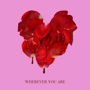 wherever you are - adam&steve | Song Album Cover Artwork