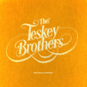 Honeymoon - The Teskey Brothers