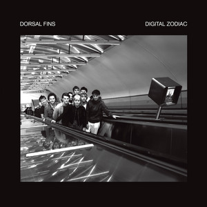 Roll Back The Years Dorsal Fins | Album Cover