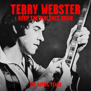 Baby Give Some Love Back - Terry Webster | Song Album Cover Artwork