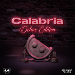 Calabria (feat. Fallen Roses, Lujavo & Lunis) - VAVO Edit - Strange Fruits Music | Song Album Cover Artwork