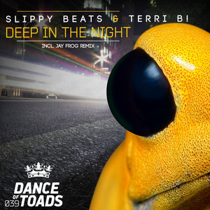 Deep In The Night - Jay Frog Remix - Slippy Beats & Terri B! | Song Album Cover Artwork