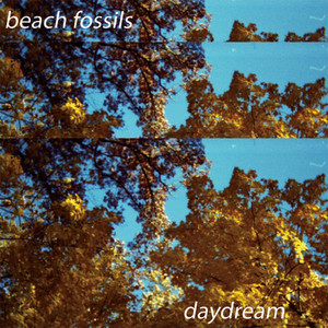 Desert Sand Beach Fossils | Album Cover