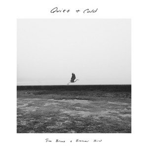 Quiet & Cold - Tim Bruns | Song Album Cover Artwork