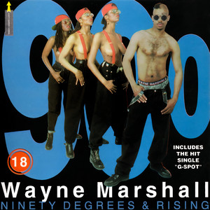 Your G Spot - Wayne Marshall | Song Album Cover Artwork